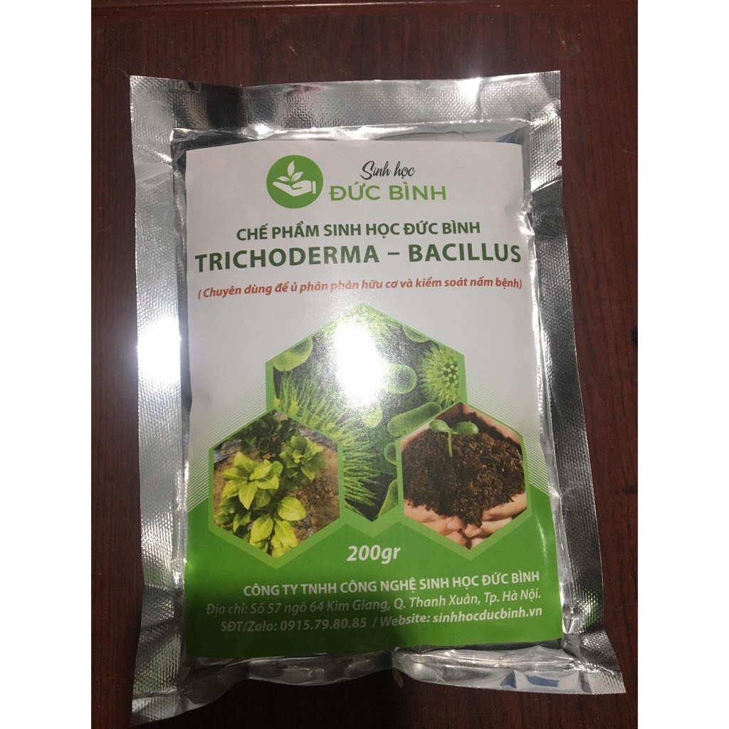 NẤM ĐỐI KHÁNG TRICHODERMA BACILLUS